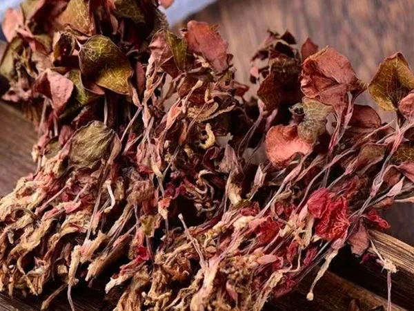 Super Grade Tørret Anoectochilus Roxburghii ankommer til specialmarkeder