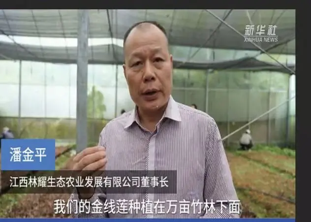 Pan Jinping, formand for Jiangxi Linyao Ecological Agriculture Development Co., Ltd., interviewet af Xinhua News Agency