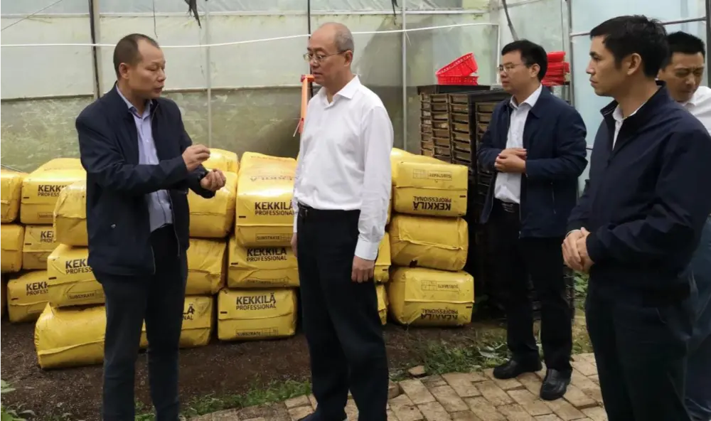 Xie Guanghua, partisekretær og direktør for Jiangxi Provincial Administration of Traditional Chinese Medicine, forsker på Anoectochilus plantningsbasen