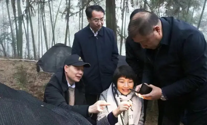 Lu Xiaoqing, tidligere formand for Jiangzhong Pharmaceutical og nuværende medlem af den stående komité i Jiangxi Provincial Party Committee og direktør for Publicity Department, inspicerer vores plantebase